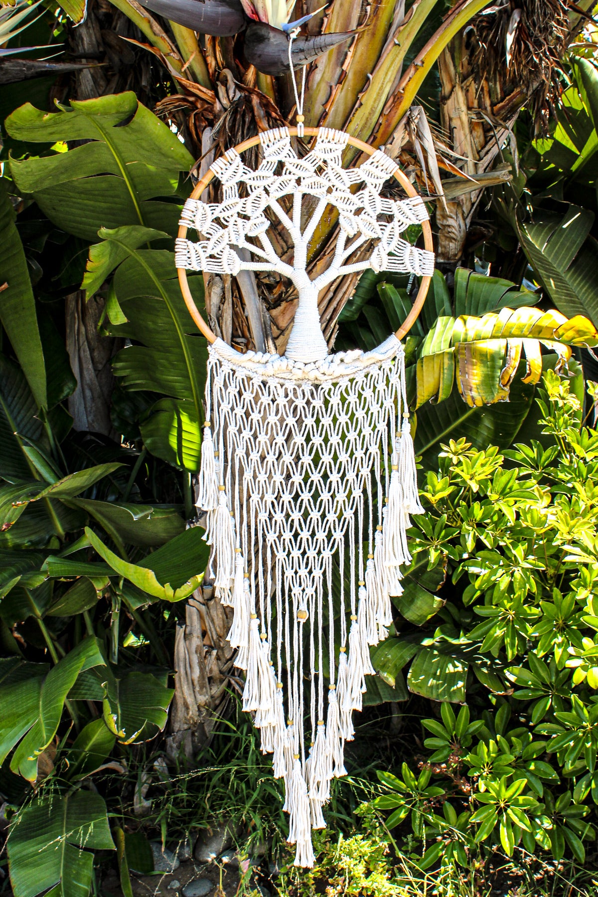 Circle Tree of Life Dreamcatcher | Shop Bali Queen