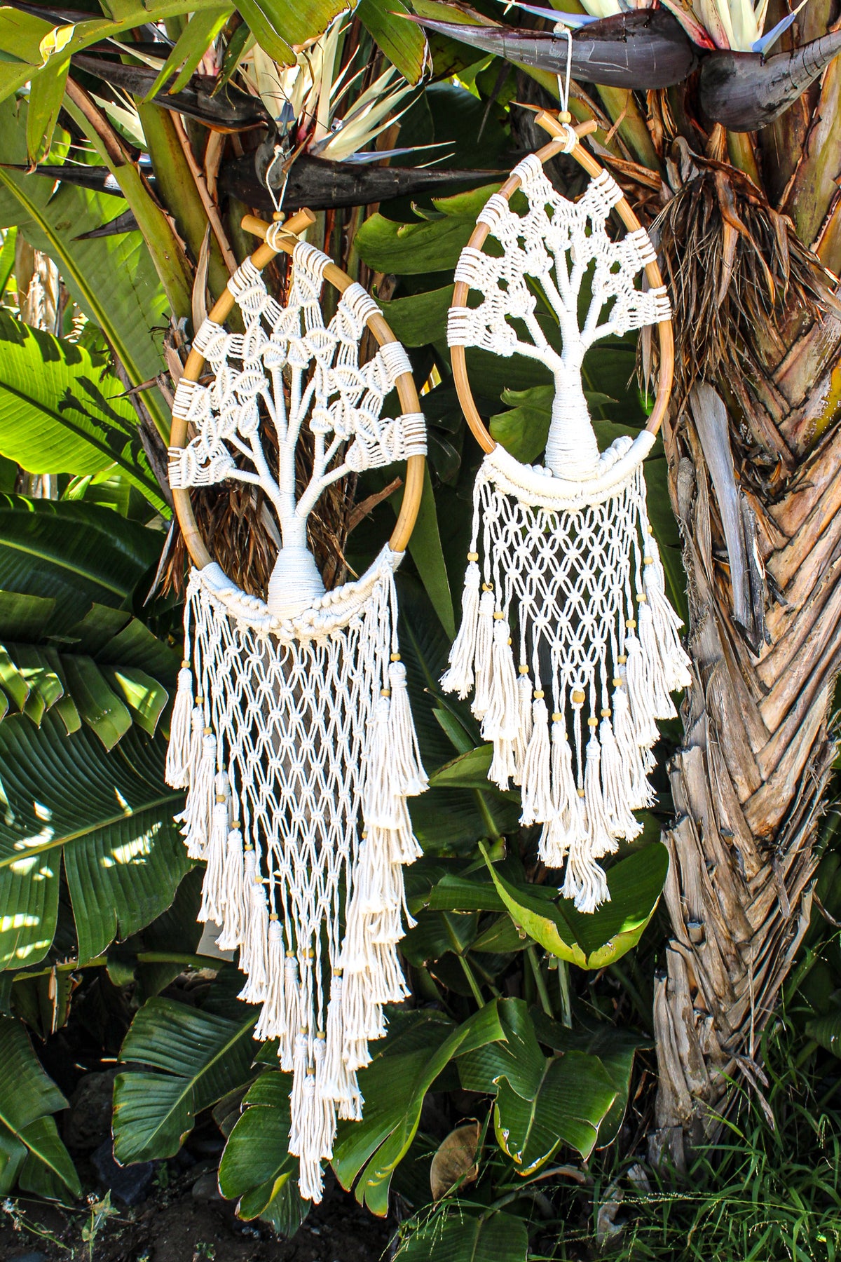 Teardrop Tree of Life | Shop Bali Queen